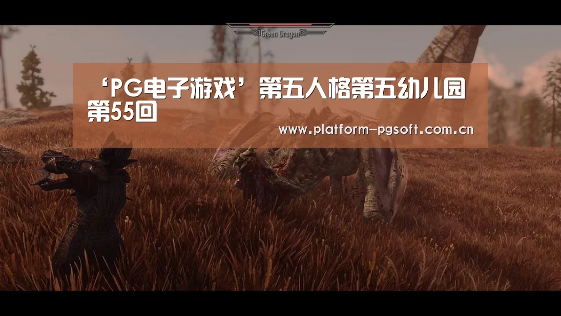 PG电子中国