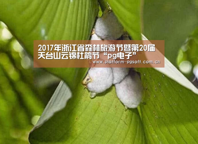 2017年浙江省森林旅游节暨第20届天台山云锦杜鹃节“pg电子”(图1) PG电子游戏