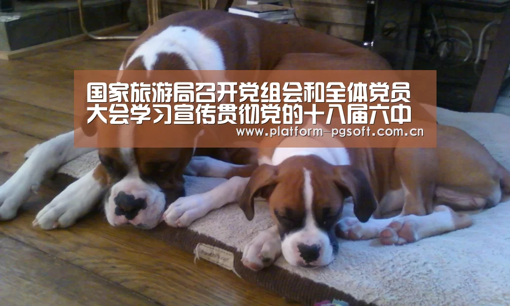 国家旅游局召开党组会和全体党员大会学习宣传贯彻党的十八届六中全会精神-PG电子游戏(图1) PG电子游戏