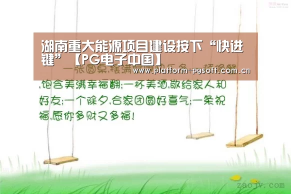 湖南重大能源项目建设按下“快进键”【PG电子中国】(图4) PG电子游戏