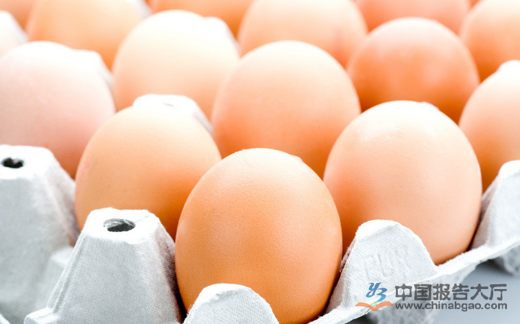 PG电子游戏|生存小队为什么更新失败 生存小队更新错误解决方法(图3) PG电子中国
