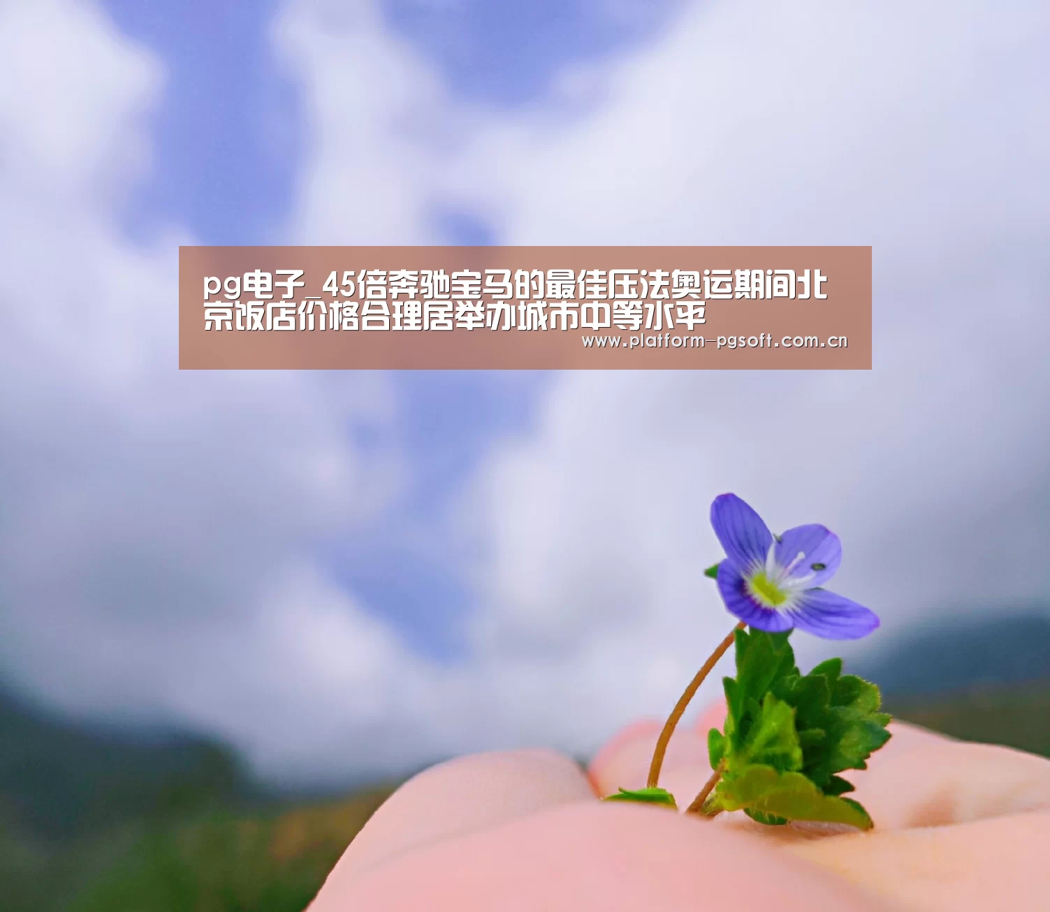 pg电子官方入口