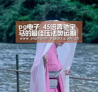 PG电子中国