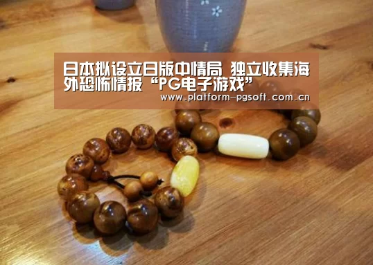 日本拟设立日版中情局 独立收集海外恐怖情报“PG电子游戏”